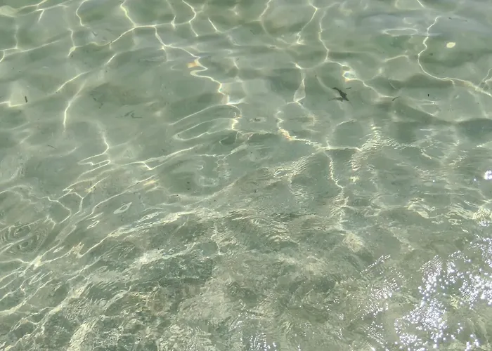 Oasi Con Piscina